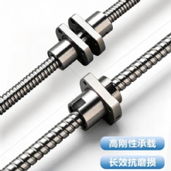 Ball screw
